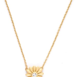 SPARTINA818501.jpg