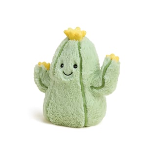 INTELEXCP-CACTUS-1.jpg