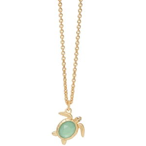 SPARTINA965601.jpg