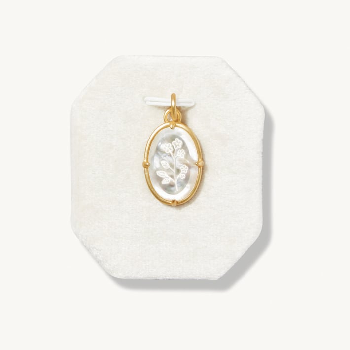 SPARTINA960293.jpg