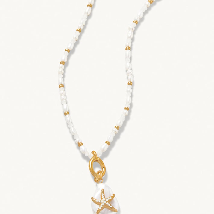SPARTINA492734.jpg
