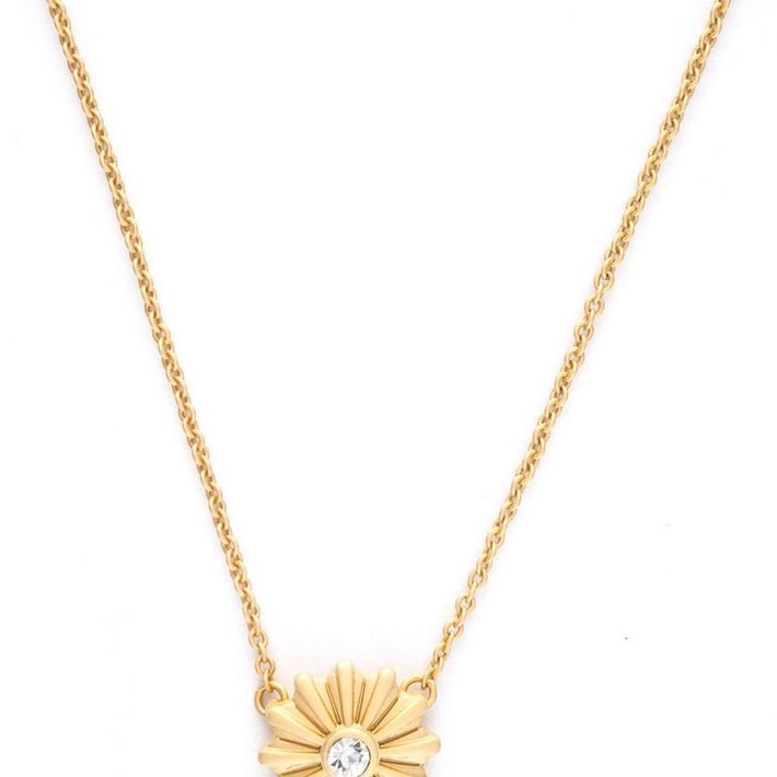SPARTINA818501.jpg