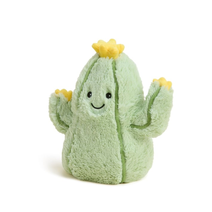 INTELEXCP-CACTUS-1.jpg
