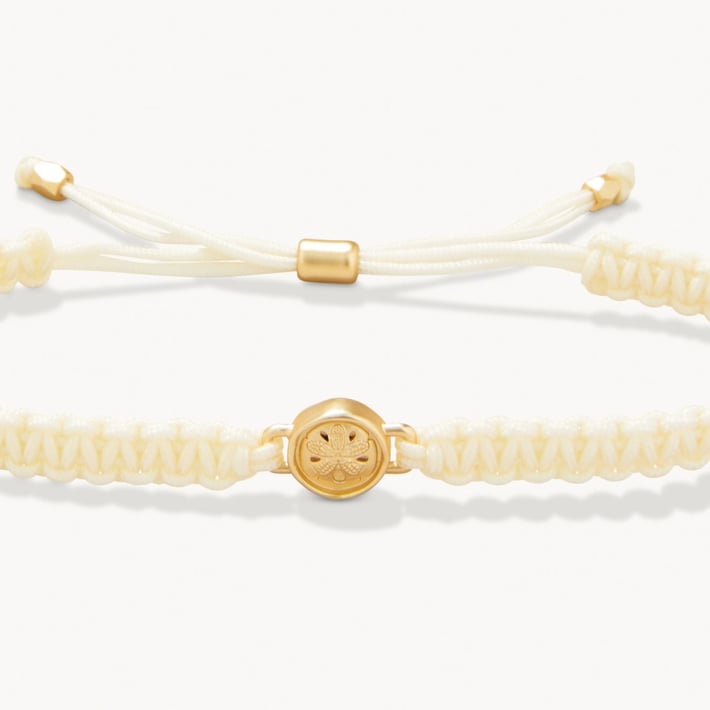 SPARTINA496787.jpg