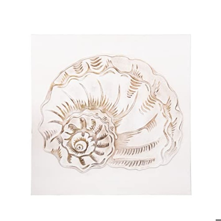 FAN SHELL WALL ART | Ivystone