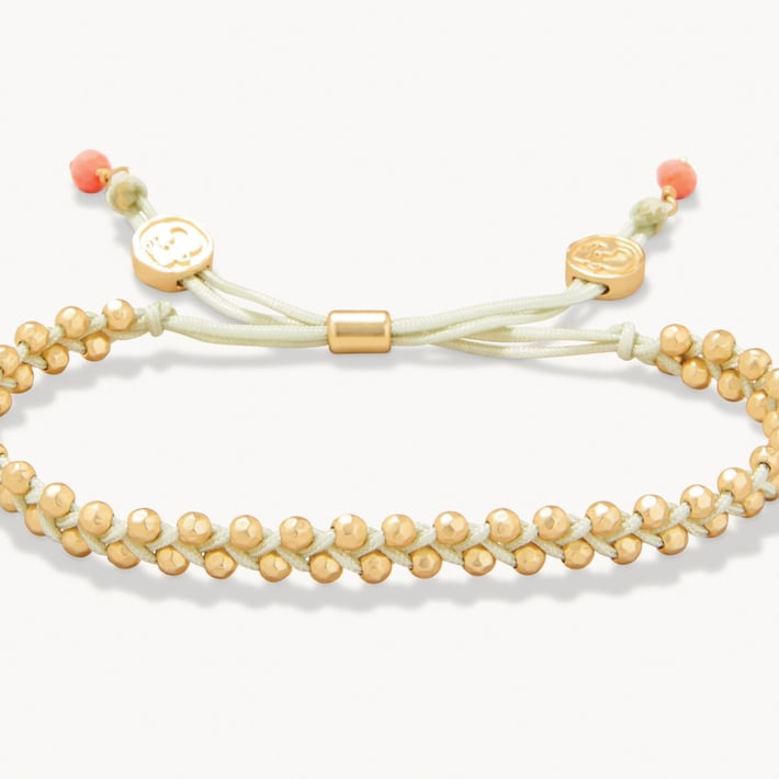 SPARTINA487273.jpg