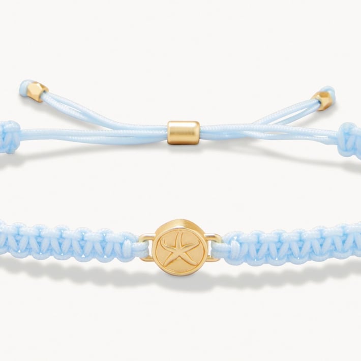 SPARTINA496763.jpg