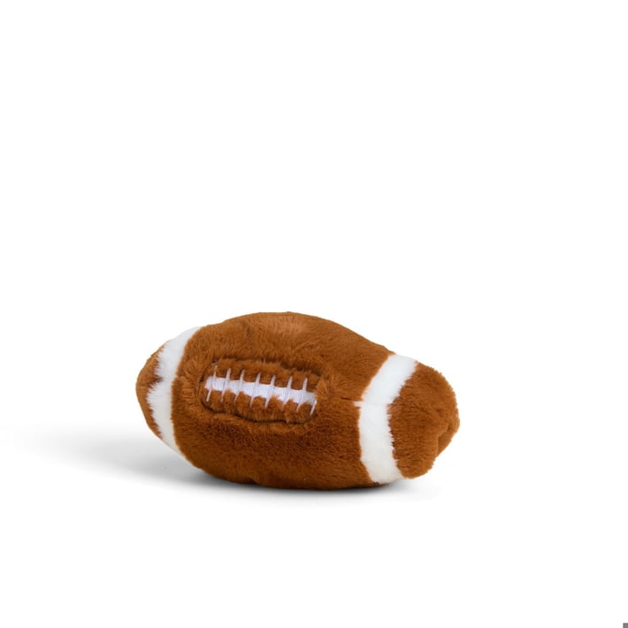 INTELEXCPJ-FBALL-1.jpg