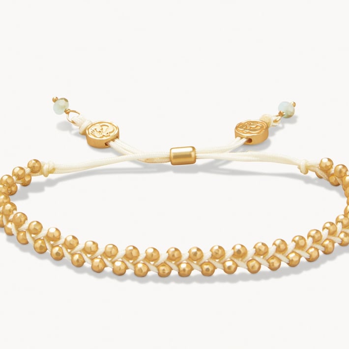 SPARTINA487938.jpg