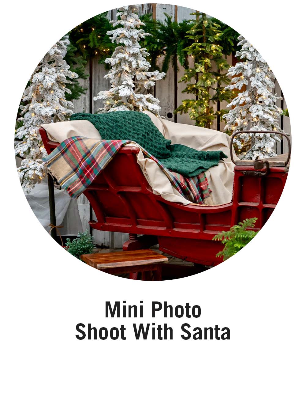 Mini Photo Shoot with Santa