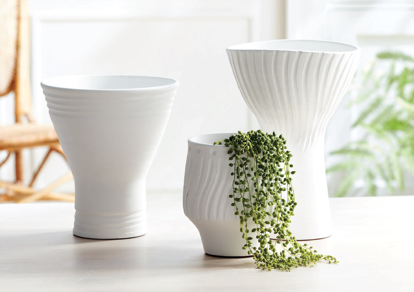 Napa Home Garden Holiday Seasonal Napa Home Garden Holiday Seasonal