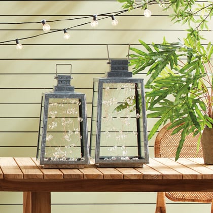 8 Gardening Trends You’ll Want to Dig into in 2021