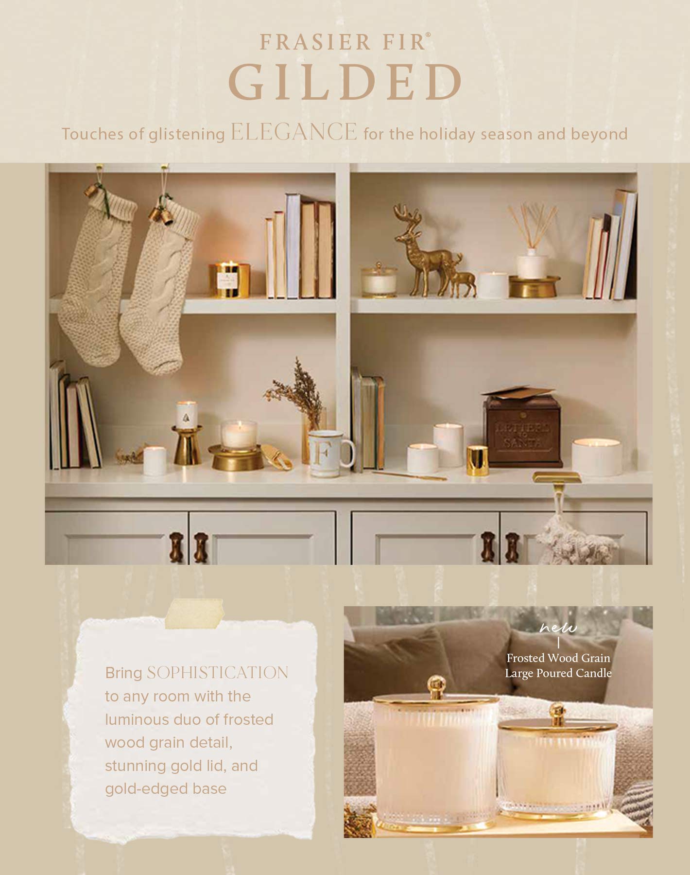 thymes-2022-ebi-frasier-fir-gilded.jpg
