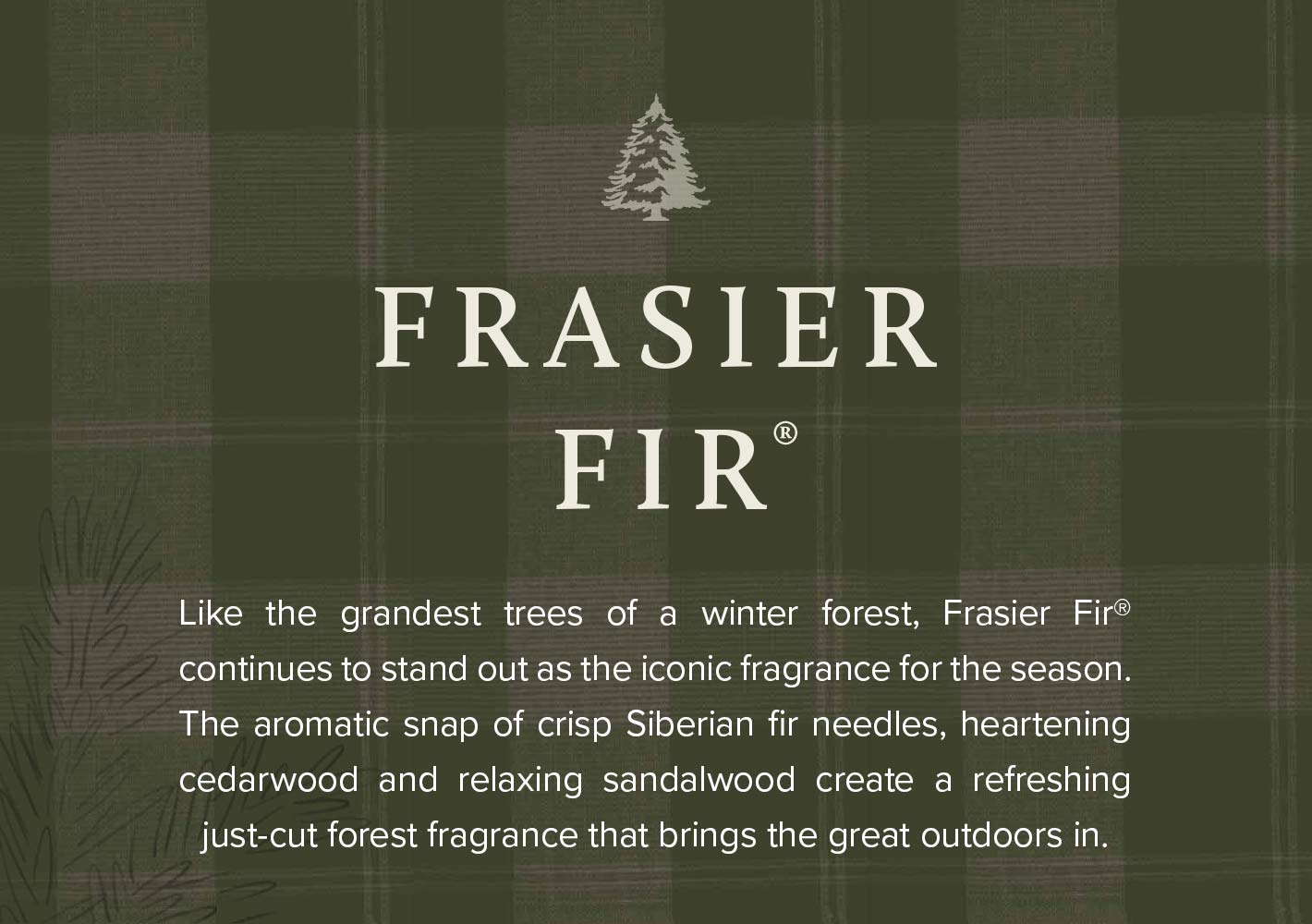 thymes-2022-ebi-frasier-fir-text.jpg