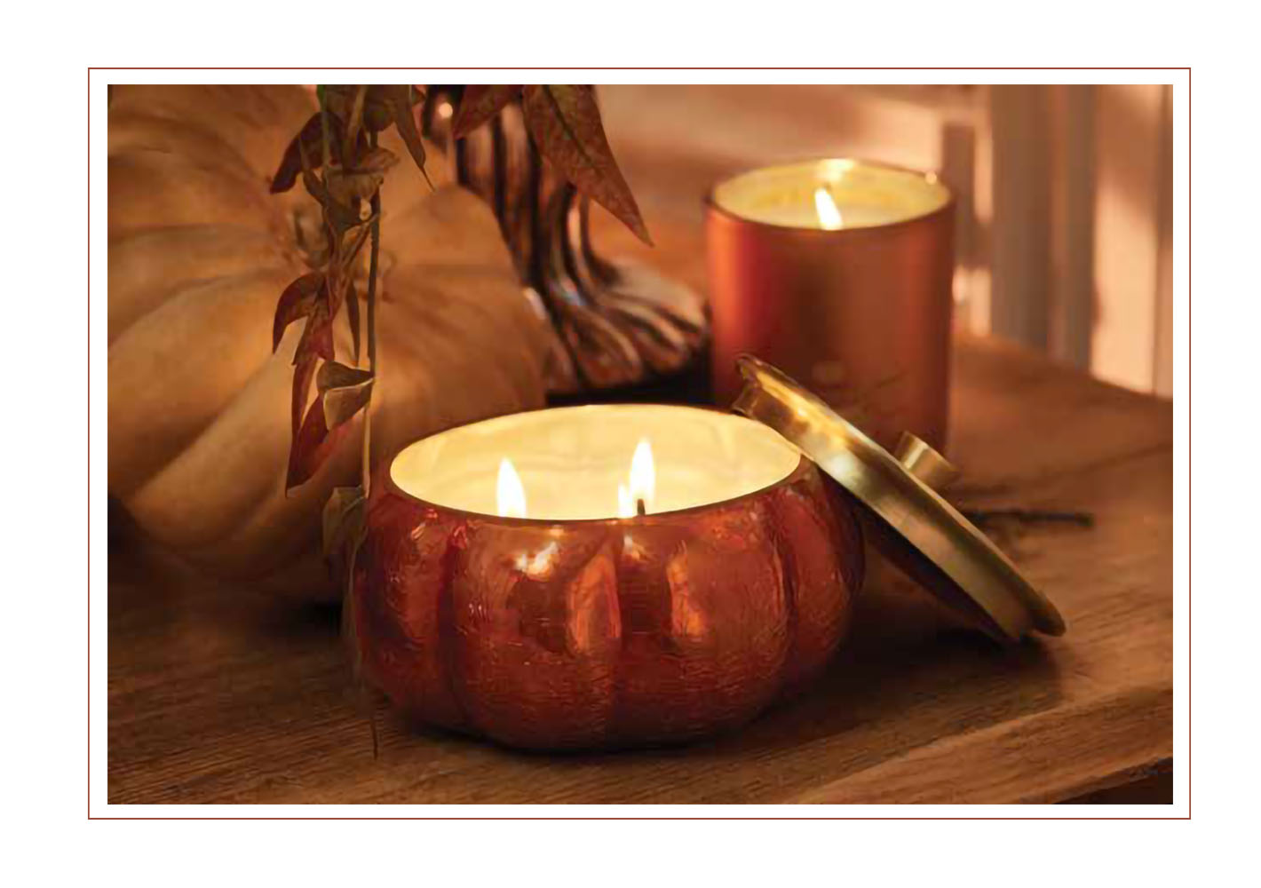 Pumpkin Laurel