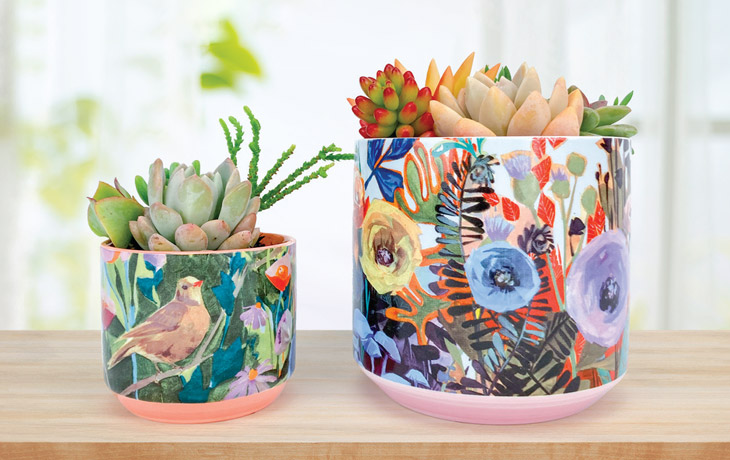 Greenbox Vases and Pots
