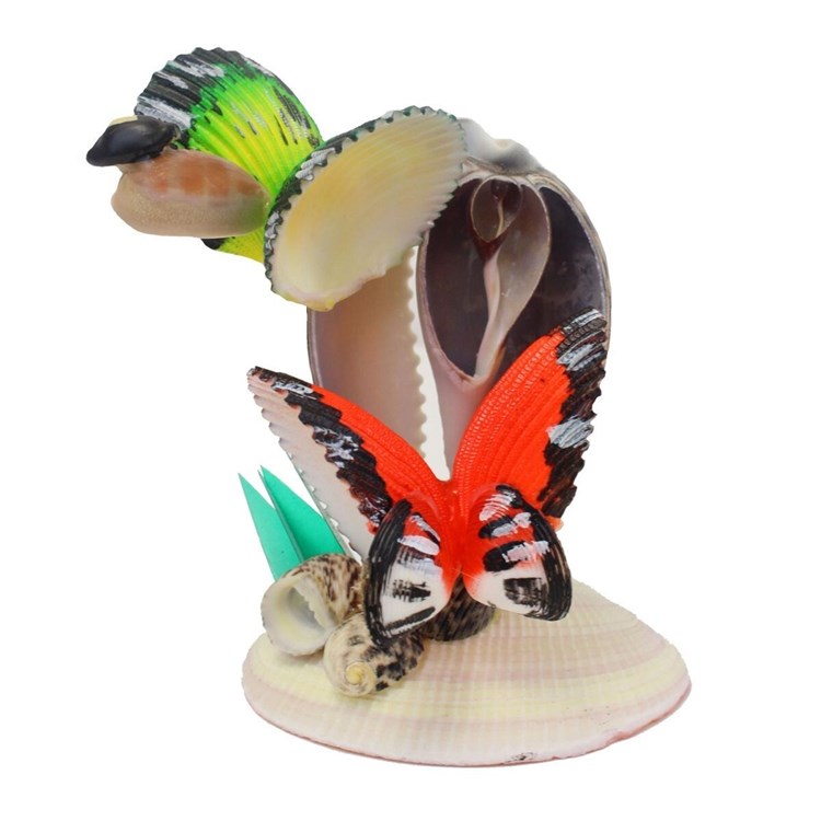 4 BUTTERFLIES FIGURE SHELL ART | Ivystone