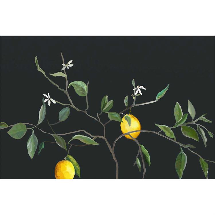 Lemon Branch, Canvas Wall Art 48x32 | Ivystone
