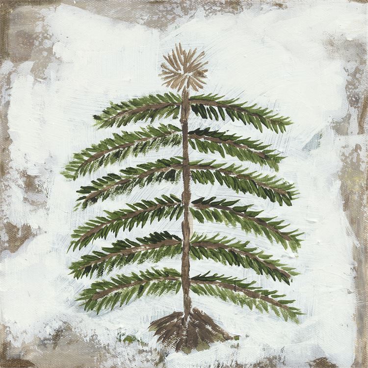 Holiday - Forest Pine Evergreen, Canvas Wall Art 10x10  Ivystone