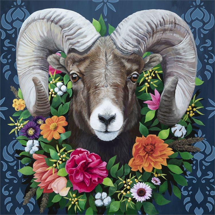 Bighorn Sheep, Canvas Wall Art, OVERSIZED (Surcharge Applicable) 48x48