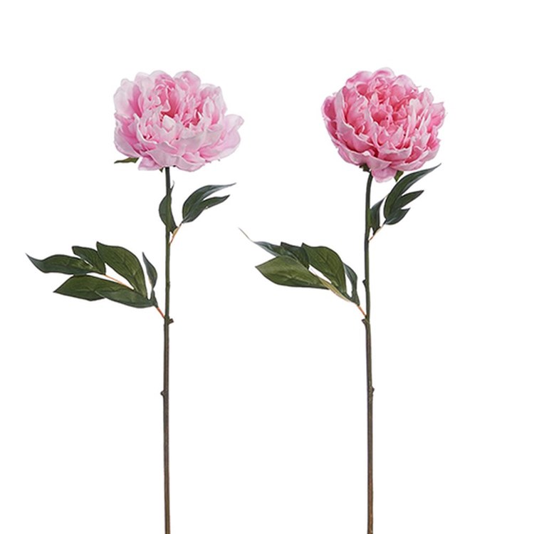 25 Real Touch Peony Stem Ivystone