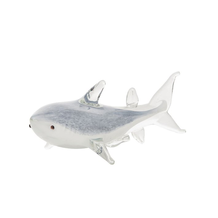 SHARK FIG | Ivystone