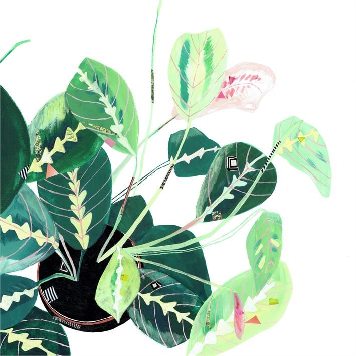 Botanical Plant, Canvas Wall Art 18x18 Ivystone