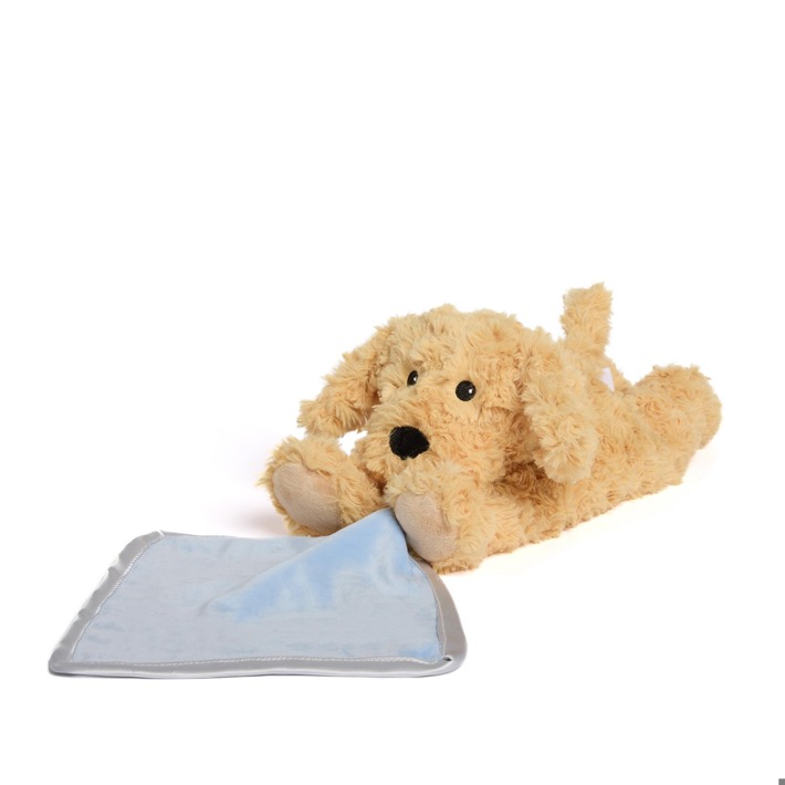 INTELEXBP-DOG-3.jpg