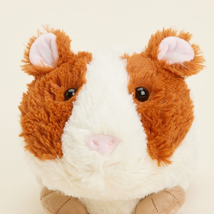 Guinea Pig Warmies Ivystone