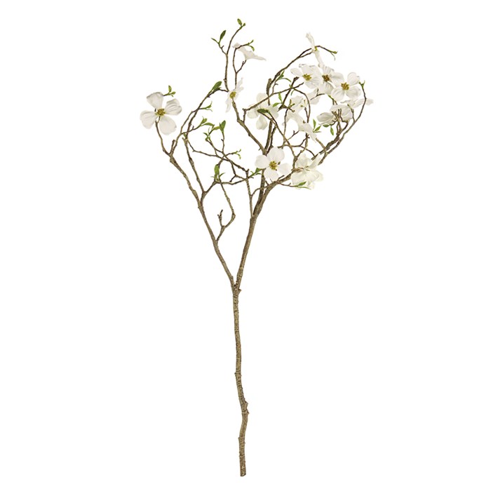 Dogwood blossom deals