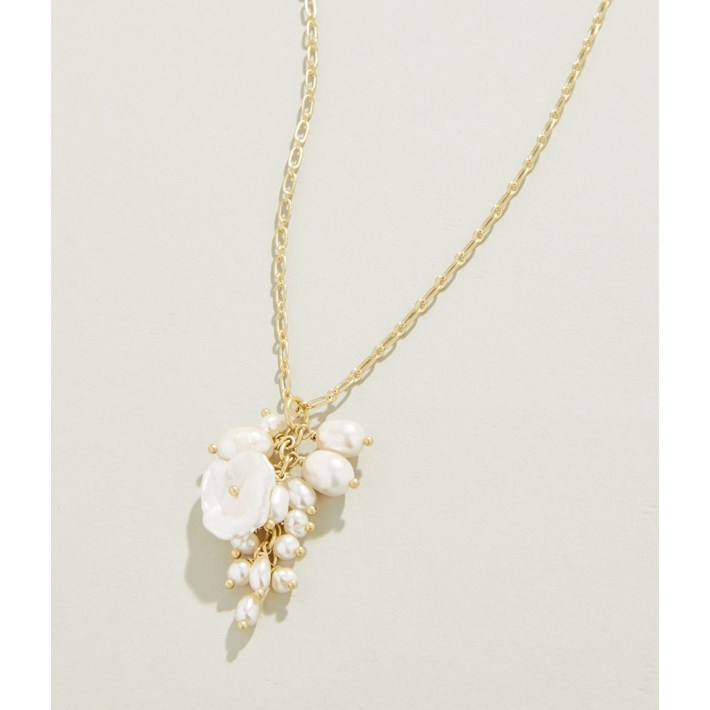 SPARTINA386164.jpg