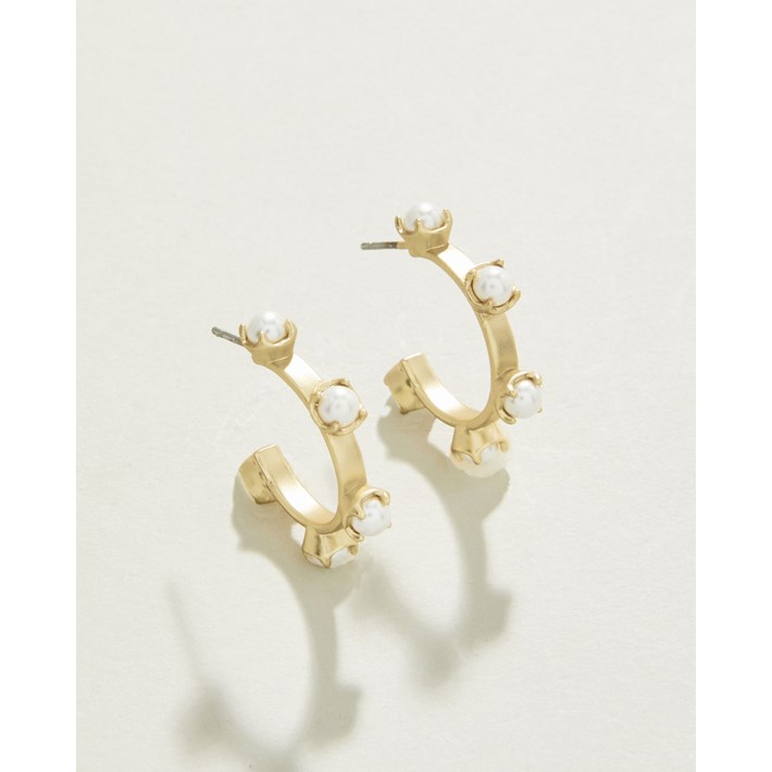 SPARTINA386584.jpg