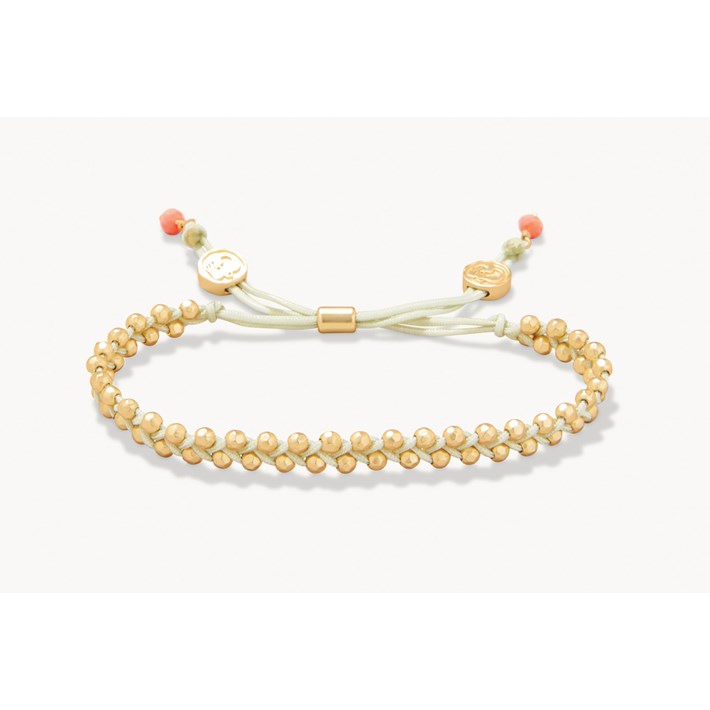 SPARTINA487273.jpg