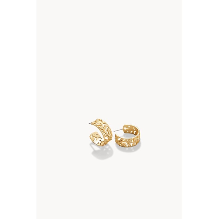 SPARTINA487358.jpg
