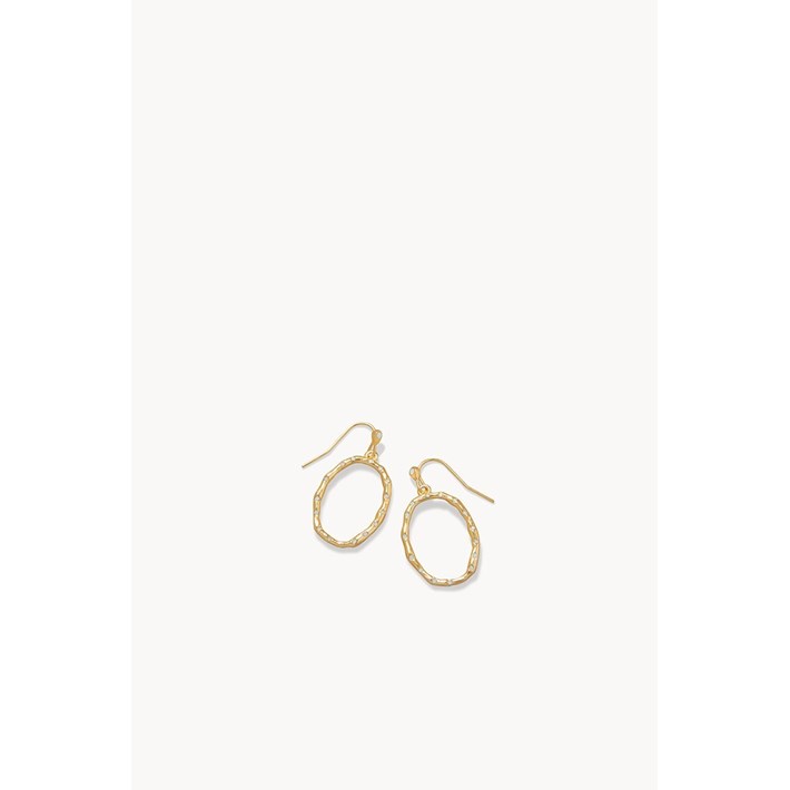 SPARTINA487433.jpg