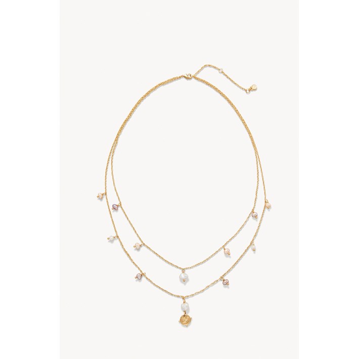SPARTINA487808.jpg