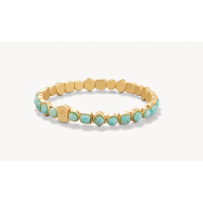 SPARTINA487884.jpg