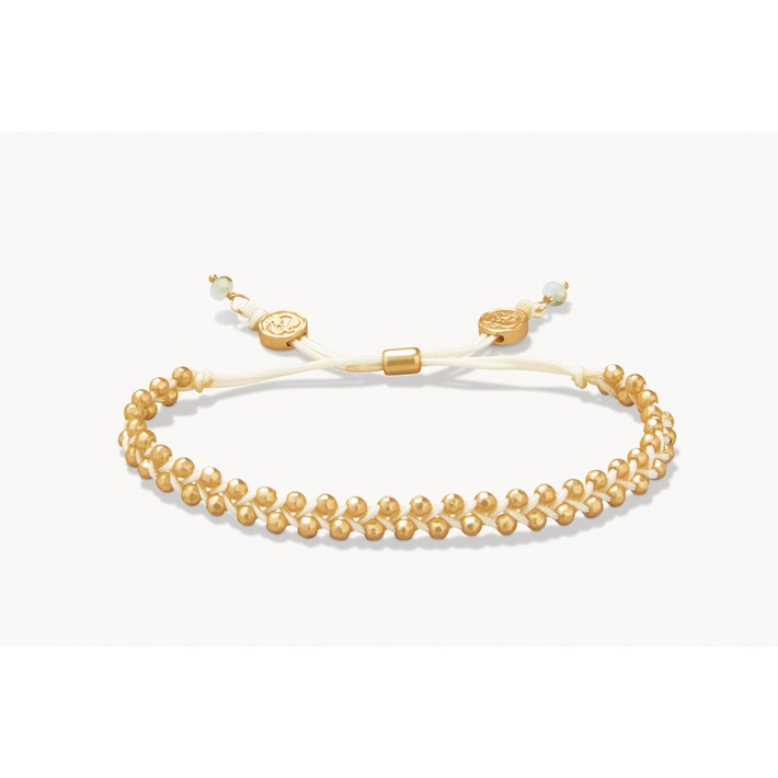 SPARTINA487938.jpg