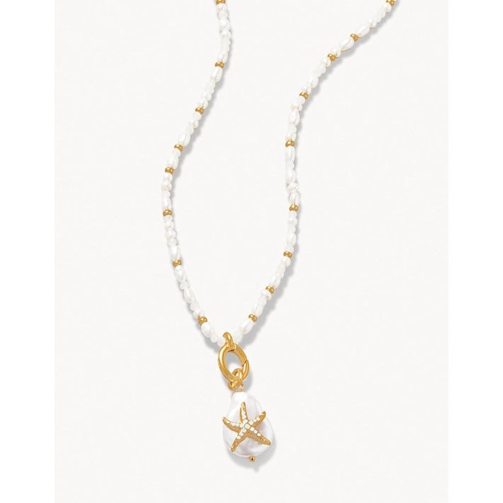 SPARTINA492734.jpg