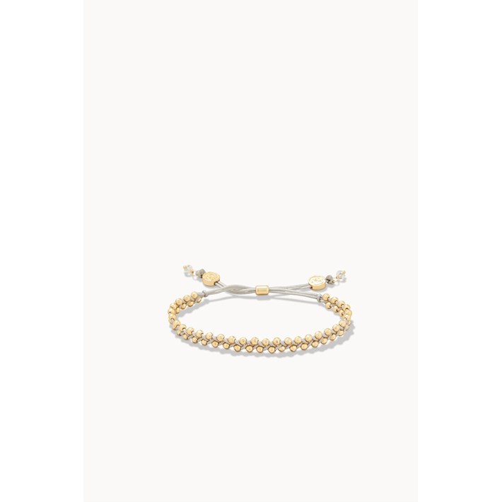 SPARTINA496800.jpg