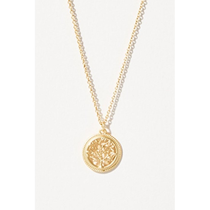 SPARTINA496985.jpg
