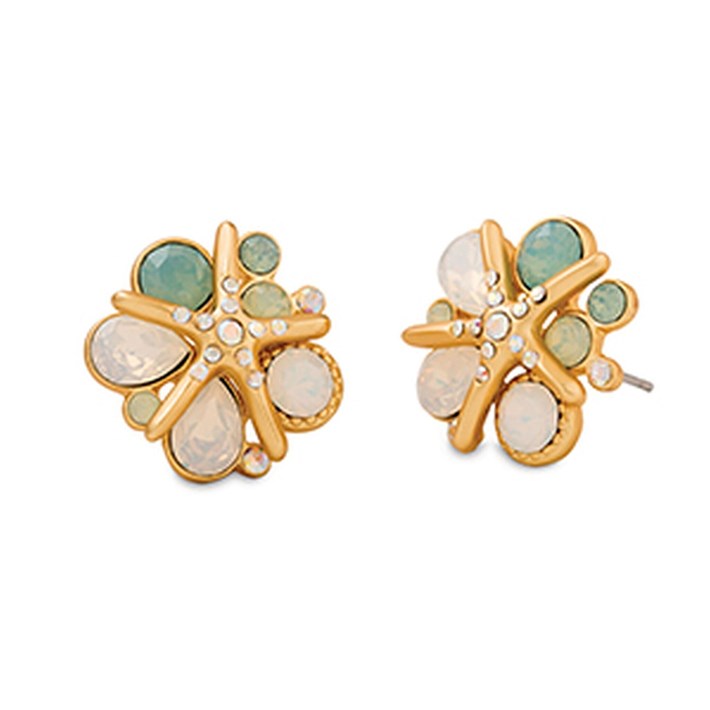 SPARTINA520133.jpg