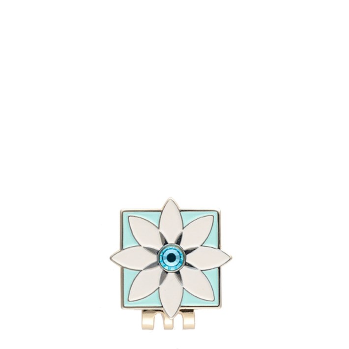 SPARTINA817849.jpg