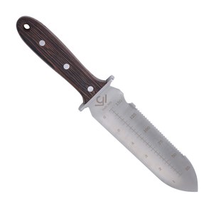 COLEP7519_1_.jpg