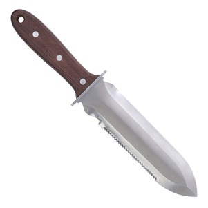 COLEP7519_2_.jpg
