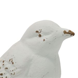FORESIDEFDAD09681_1_.jpg