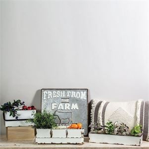 FORESIDEFETD02256_3_.jpg