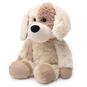 INTELEXCP-PUP-2.jpg