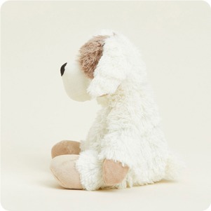 INTELEXCP-PUP-2_1_.jpg
