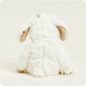 INTELEXCP-PUP-2_2_.jpg